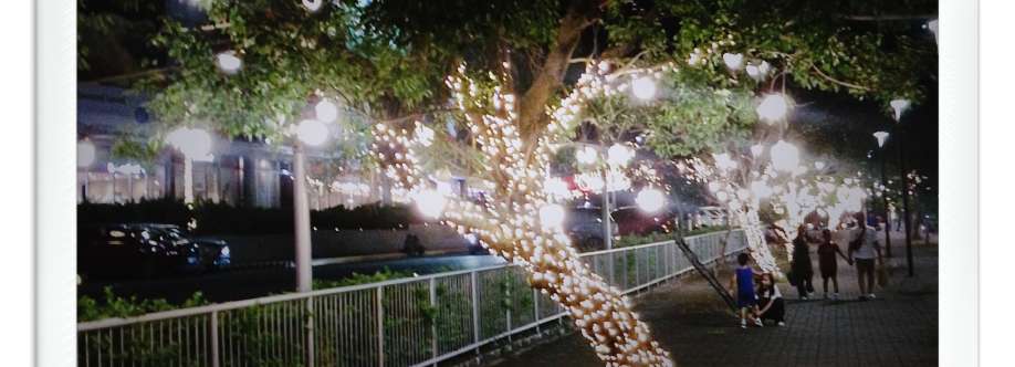 Terence Danlag Cover Image